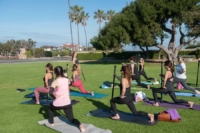 chefv-carlsbad-7