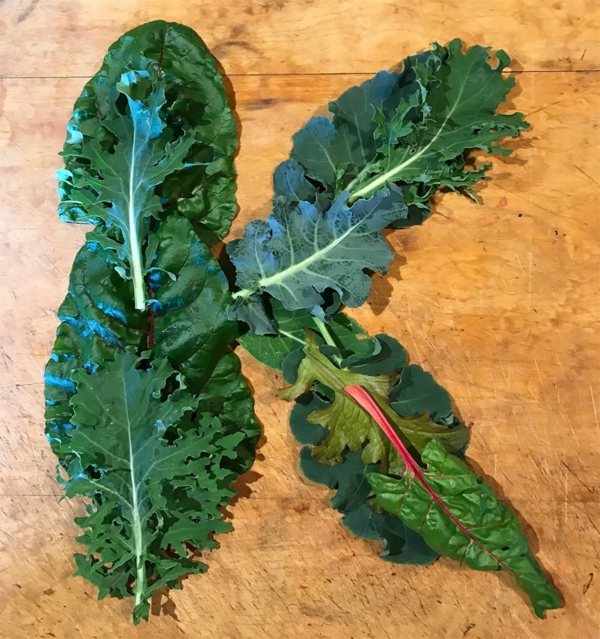 chefv-vitamin-k-leaves-900p