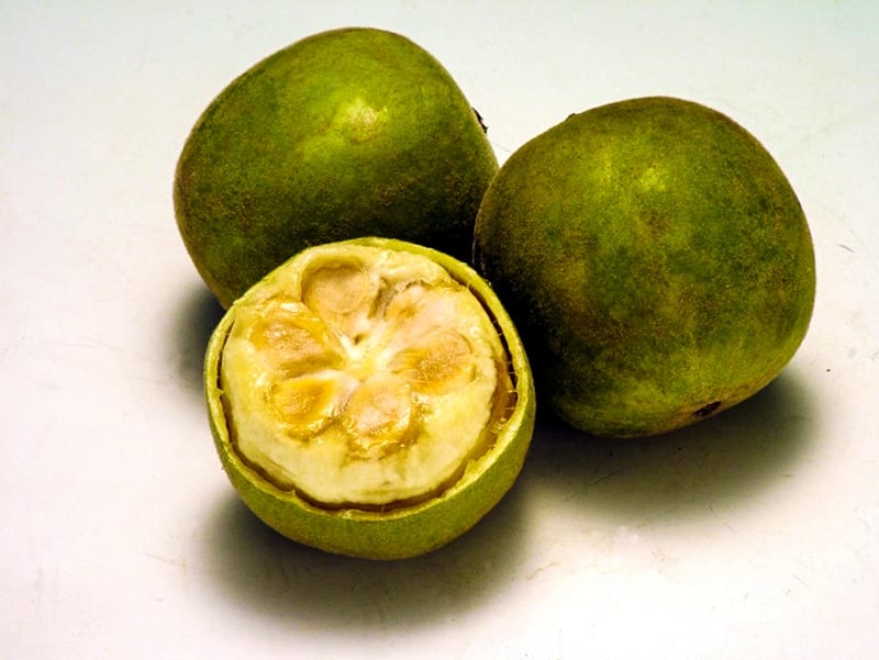 chefv-monkfruit-800p Monkfruit