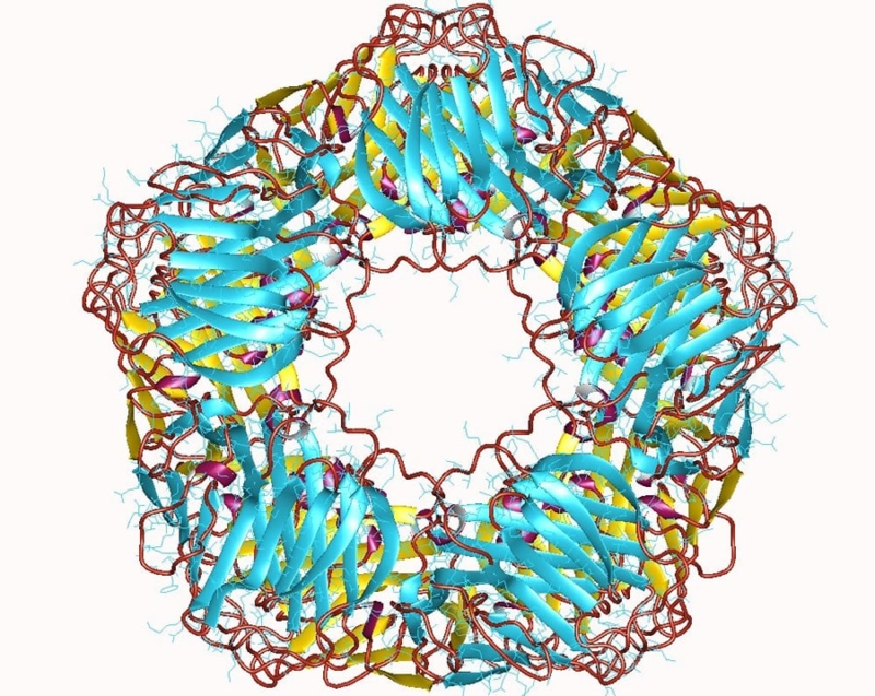 crp-molecule-900p CRP molecule
