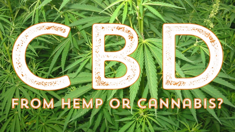 chefv-cbd-from-hempor-cannabis-800p CBD from hemp or cannabis?