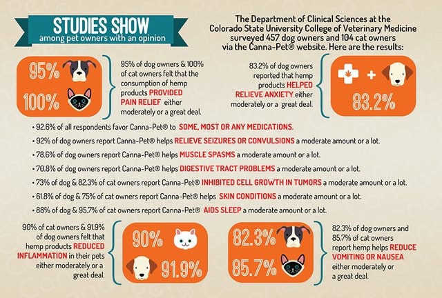 CannaPet-Studies-Show CBD oil owner survey
