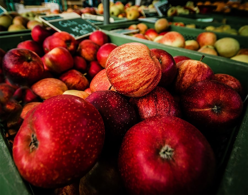 chefv-apples-red-900p gut bacteria - good and bad