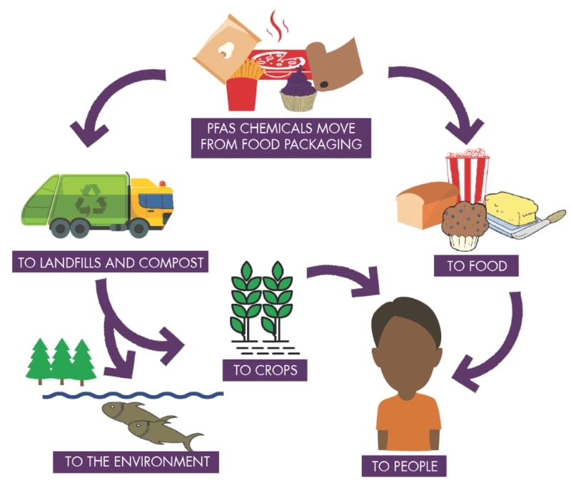 pfas-chemicals-flow-chart-800p detox tips for success